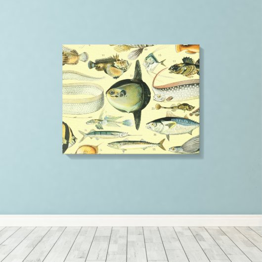  wetenschappelijke Vissende kunst Canvas Afdruk (Insitu (Houten vloer))