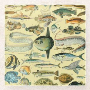  wetenschappelijke Vissende kunst Glazen Onderzetter