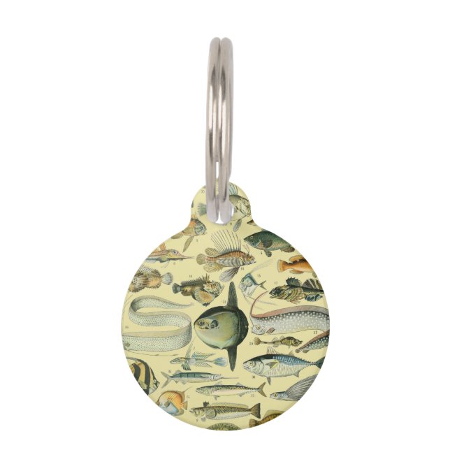  wetenschappelijke Vissende kunst Huisdierpenning (Voorkant)