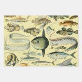  wetenschappelijke Vissende kunst Inpakpapier Vel (Voorkant 3)