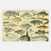  wetenschappelijke Vissende kunst Inpakpapier Vel (Voorkant)