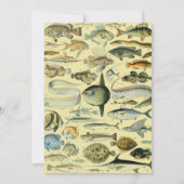 wetenschappelijke Vissende kunst Kaart (Achterkant)