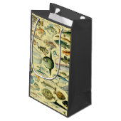  wetenschappelijke Vissende kunst Klein Cadeauzakje (Achterkant Gekanteld)