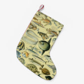 wetenschappelijke Vissende kunst Kleine Kerstsok (Voorkant (Hangend))