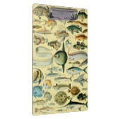 wetenschappelijke Vissende kunst Klembord (Rechts)