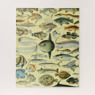 wetenschappelijke Vissende kunst Legpuzzel