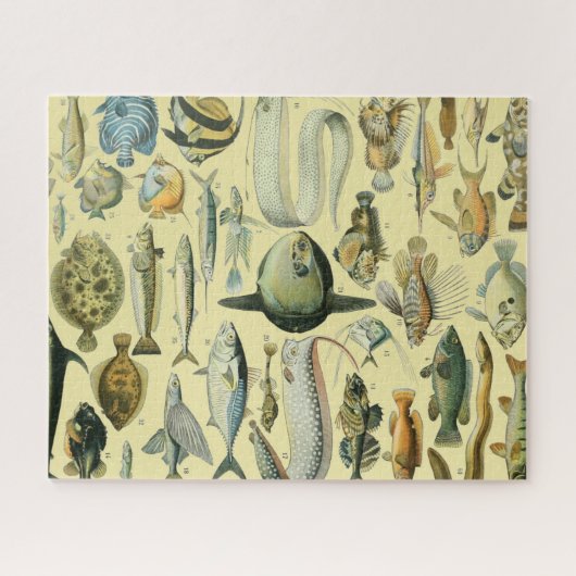  wetenschappelijke Vissende kunst Legpuzzel (Horizontaal)