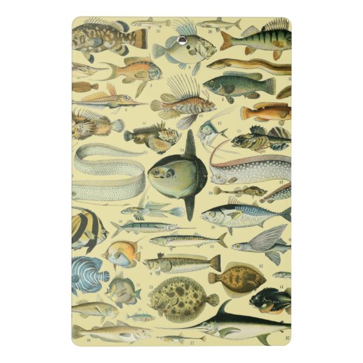  wetenschappelijke Vissende kunst Mini Klembord (Achterkant)
