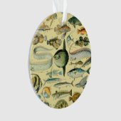  wetenschappelijke Vissende kunst Ornament (voorkant)