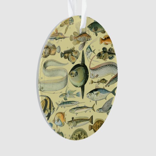  wetenschappelijke Vissende kunst Ornament (voorkant)