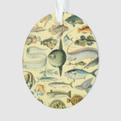  wetenschappelijke Vissende kunst Ornament (voorkant)