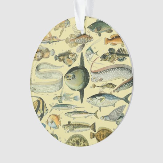  wetenschappelijke Vissende kunst Ornament (voorkant)