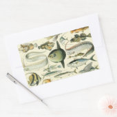  wetenschappelijke Vissende kunst Rechthoekige Sticker (Envelop)