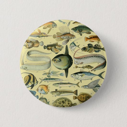  wetenschappelijke Vissende kunst Ronde Button 5,7 Cm (Voorkant)