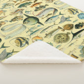  wetenschappelijke Vissende kunst Sherpa Deken (3/4)