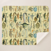  wetenschappelijke Vissende kunst Sherpa Deken (Voorkant (horizontaal))