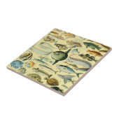  wetenschappelijke Vissende kunst Tegeltje (Zijkant)