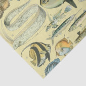  wetenschappelijke Vissende kunst Tissuepapier (Detail)