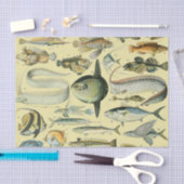  wetenschappelijke Vissende kunst Tissuepapier (Craft)