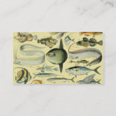  wetenschappelijke Vissende kunst Visitekaartje (Achterkant)