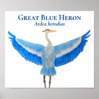 Wetenschappelijke Vogel Waterverf Grote Blauwe Her