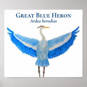 Wetenschappelijke Vogel Waterverf Grote Blauwe Her Poster