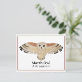 Wetenschappelijke Waterverf Marsh Owl Briefkaart (Staand voorkant)