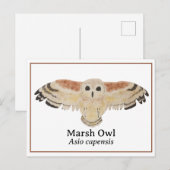 Wetenschappelijke Waterverf Marsh Owl Briefkaart (Voorkant / Achterkant)