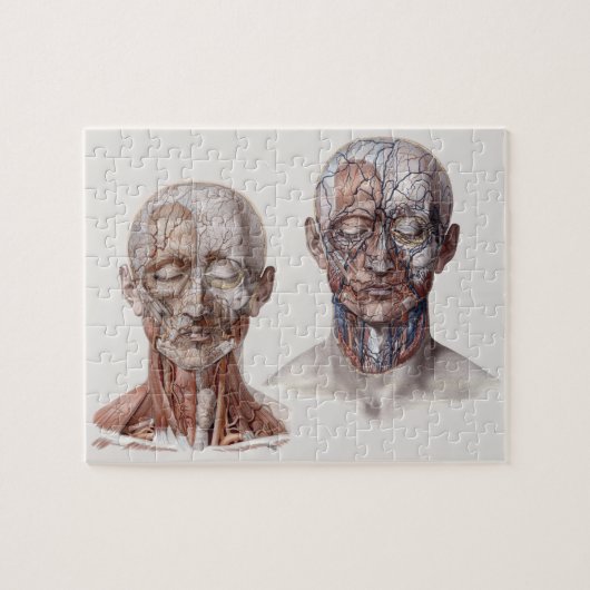 wetenschappers op het gebied van de menselijke an legpuzzel (Horizontaal)