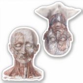  wetenschappers op het gebied van de menselijke an sticker (Voorkant)