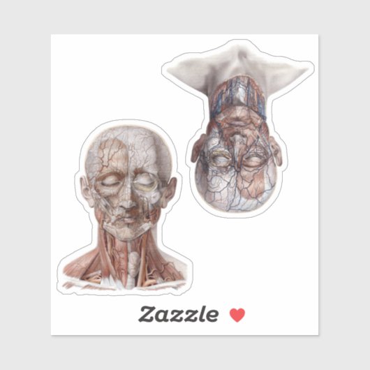  wetenschappers op het gebied van de menselijke an sticker (Vel)