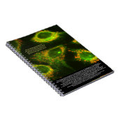 Wetenschappers zeggen ... Grasse Quote en Mitochon Notitieboek (Rechterzijde)