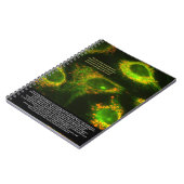 Wetenschappers zeggen ... Grasse Quote en Mitochon Notitieboek (Linkerzijde)