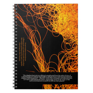 Wetenschappers zeggen ... Klein Quote en Bacterium Notitieboek