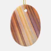  wetenschapscampagnes keramisch ornament (Achterkant)