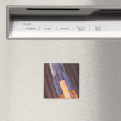 wetenschapscampagnes magneet (Insitu (Vaatwasser))