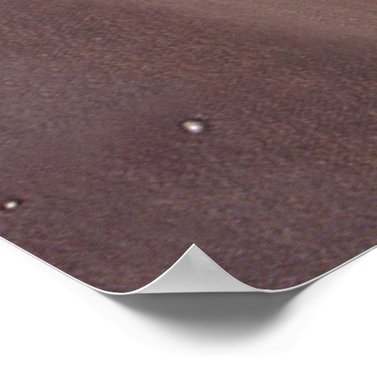  wetenschapscampagnes poster (Hoek)