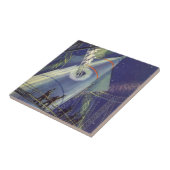  wetenschapscentra op het gebied van raketschild tegeltje (Zijkant)