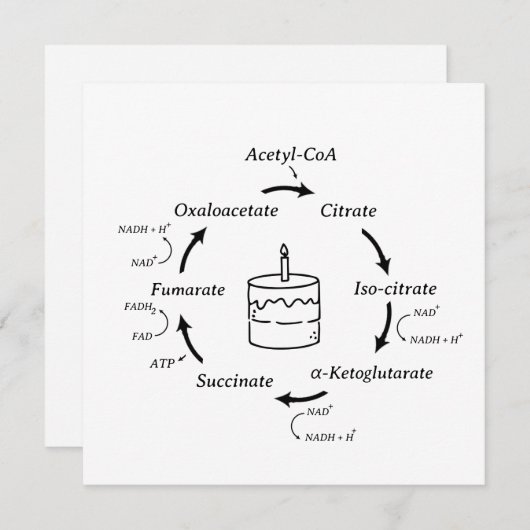 Wetenschapsdag - Kreb's Cycle Biology (Voorkant / Achterkant)