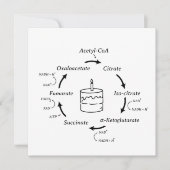 Wetenschapsdag - Kreb's Cycle Biology (Voorkant)
