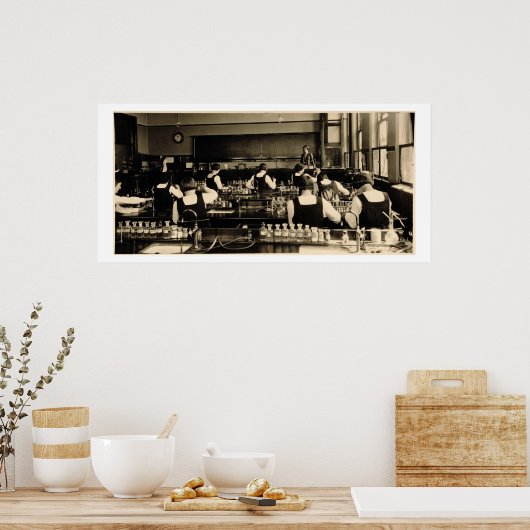 Wetenschapsles op de London Grammar School voor Gi Poster (Keuken)