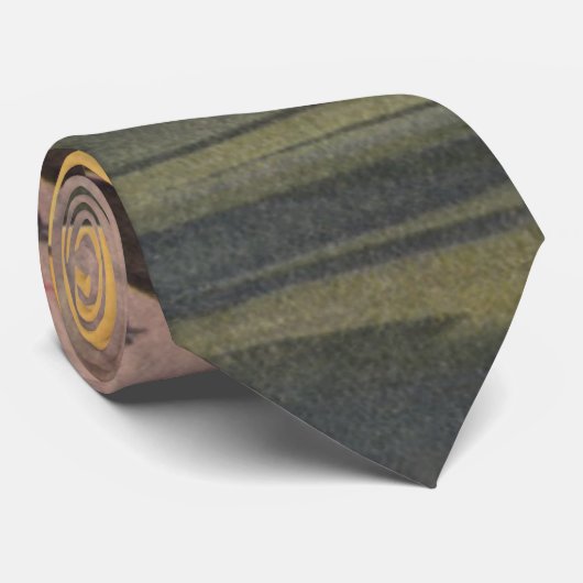  wetenschapsvlucht Seaplane Stropdas (Opgerold)