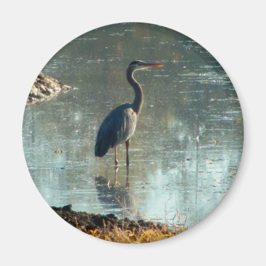Wetland Blue Heron Magneet (Voorkant)