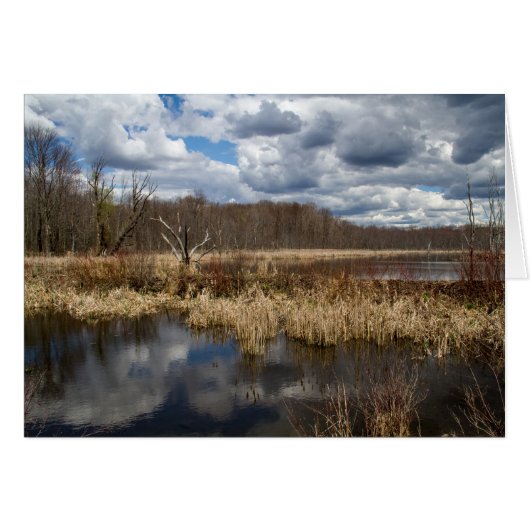 Wetland Cloudscape (Voorkant Horizontaal)