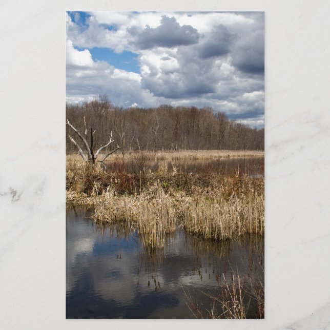 Wetland Cloudscape (Voorkant)