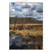 Wetland Cloudscape Verticaal (Voorkant)