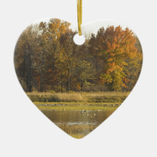 WETLAND MET AUTUMN BOMEN IN ACHTERGROND EN EENDEN KERAMISCH ORNAMENT