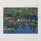 Wetland-planten in Okefenokee National Wildlife Re Briefkaart (Voorkant)