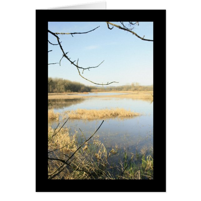 Wetland Wonderland (Voorkant)