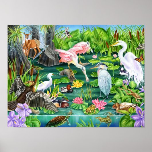 Wetland Wonders Poster (Voorkant)